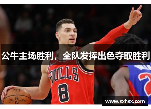 公牛主场胜利，全队发挥出色夺取胜利