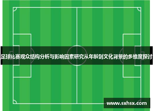 足球比赛观众结构分析与影响因素研究从年龄到文化背景的多维度探讨